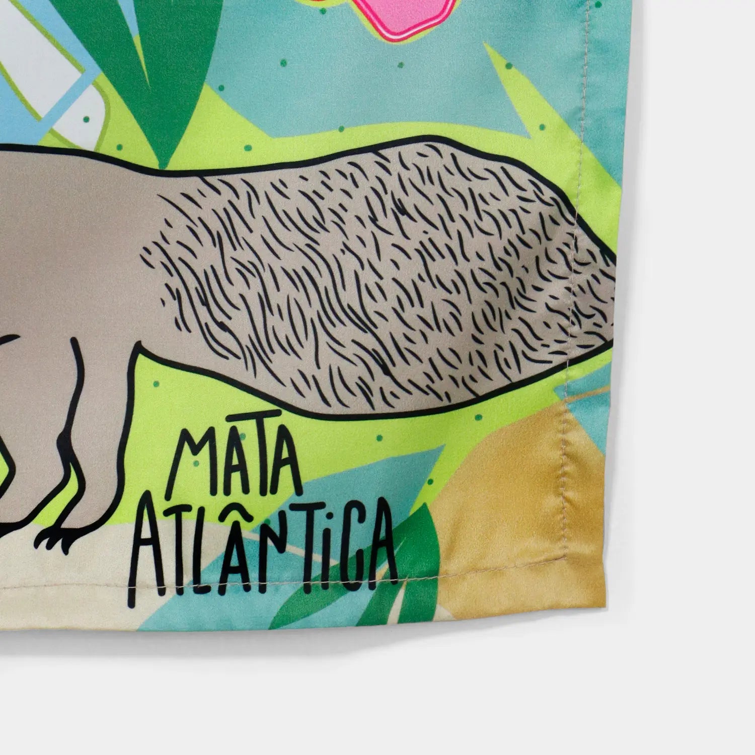 Mata Atlântica